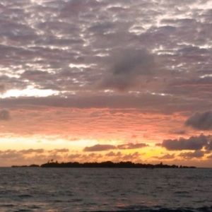 Meet your Posher, Silvana